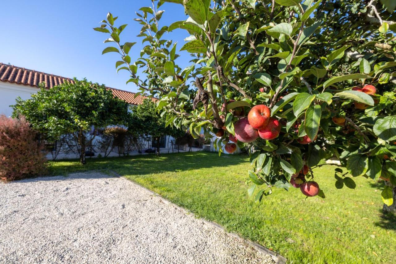 Casa Da Lagoa E Forja - Turismo Rural Mira  Eksteriør bilde